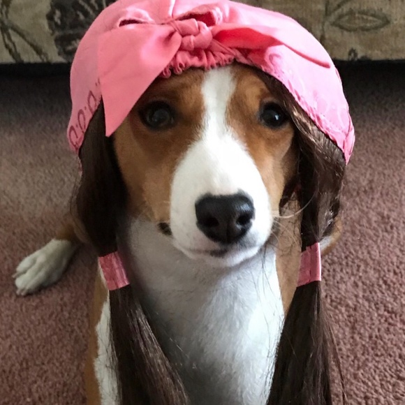 NO clowning around.... - Picture 15 of 16